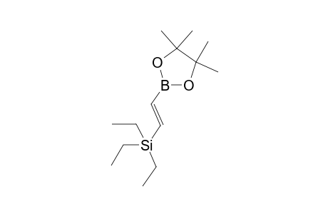 (E)-2-(4',4',5',5'-tetramethyl-1',3',2'-dioxaborolan-2'-yl)-1-triethylsilylethene