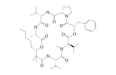 KULOLIDE-3;COMFORMER-1