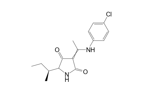(5RS,6S)-5-sec-Butyl-3-[1-(4-chlorophenyl)amino]ethylidene-1H-pyrrolidine-2,4-dione