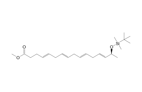 Methyl 15-[(t-butyldimethylsilyl)oxy]-hexadeca-4,7,10,13-tetraene
