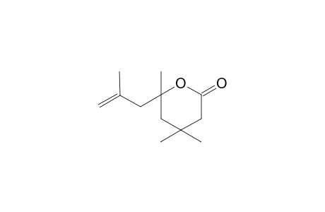 4,4,6-trimethyl-6-(2-methylallyl)tetrahydropyran-2-one