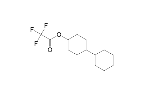 Acetic acid, 2,2,2-trifluoro-, [1,1'-bicyclohexyl]-4-yl ester