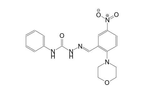 2-(4-morpholinyl)-5-nitrobenzaldehyde N-phenylsemicarbazone