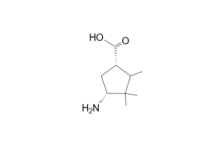 (1S,3R)-3-Amino-2,3,3-trimethylcyclopentanecarboxylic acid