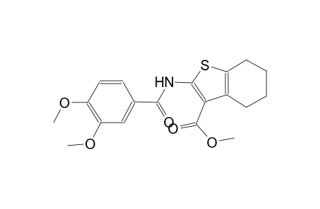 methyl 2-[(3,4-dimethoxybenzoyl)amino]-4,5,6,7-tetrahydro-1-benzothiophene-3-carboxylate