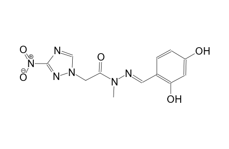 N'-[(E)-(2,4-dihydroxyphenyl)methylidene]-N-methyl-2-(3-nitro-1H-1,2,4-triazol-1-yl)acetohydrazide