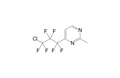 6-(.omaga.-Chlorohexafluoropropyl)-2-methylpyrimidine