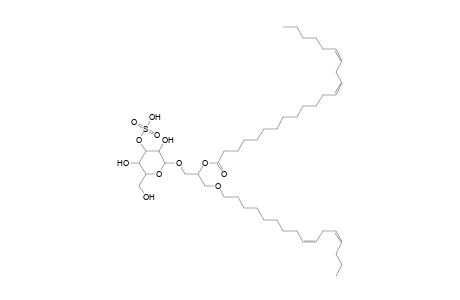 SMGDG O-16:2_22:2