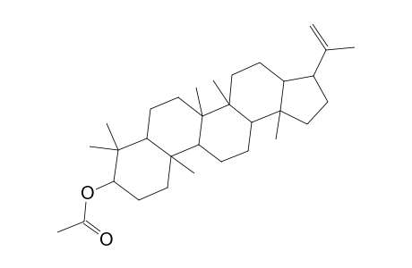 A'-Neogammacer-22(29)-en-3-ol, acetate, (3.beta.,21.beta.)-