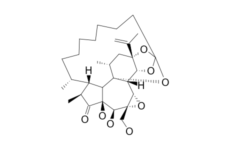 WIKSTROELIDE-E