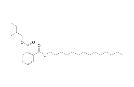 Phthalic acid, 2-methylbutyl tetradecyl ester