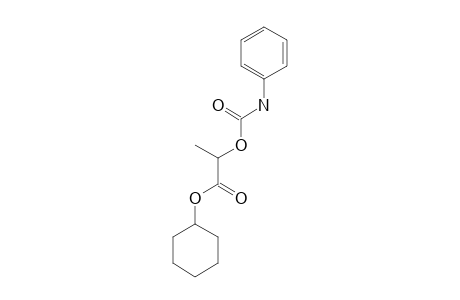 carbanilic acid, ester with lactic acid, cyclohexyl ester
