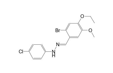 2-bromo-4-ethoxy-5-methoxybenzaldehyde (4-chlorophenyl)hydrazone
