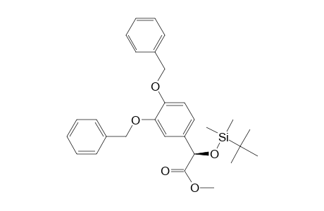 Benzeneacetic acid, .alpha.-[[(1,1-dimethylethyl)dimethylsilyl]oxy]-3,4-bis(phenylmethoxy)-, methyl ester, (R)-