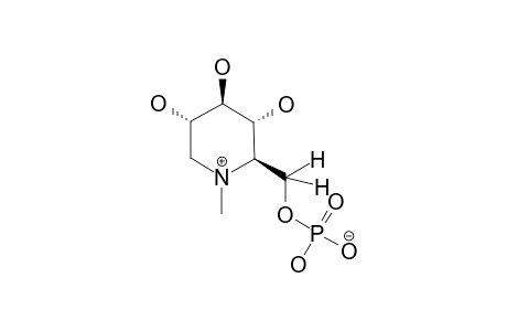 N-METHYL-1-DEOXYNOJIRIMYCIN-6-PHOSPHATE