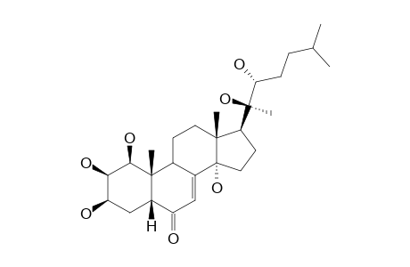 ZOANTHUSTERONE