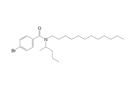 Benzamide, 4-bromo-N-(2-pentyl)-N-dodecyl-