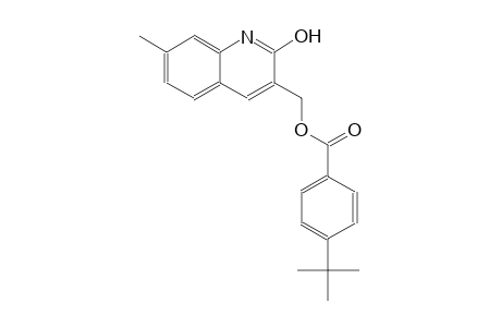 (2-hydroxy-7-methyl-3-quinolinyl)methyl 4-tert-butylbenzoate