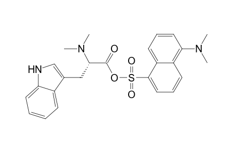 dansyl N-methyl-(methyl)tryptophane