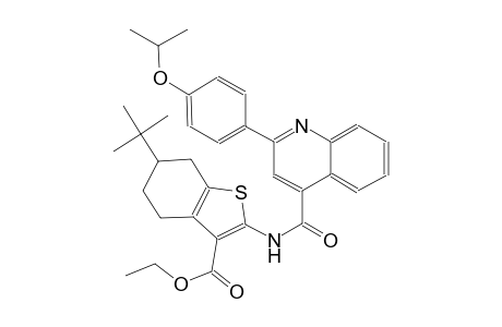 ethyl 6-tert-butyl-2-({[2-(4-isopropoxyphenyl)-4-quinolinyl]carbonyl}amino)-4,5,6,7-tetrahydro-1-benzothiophene-3-carboxylate