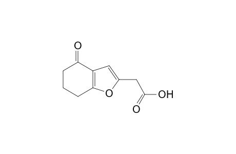 4-oxo-4,5,6,7-tetrahydro-2-benzofuranacetic acid