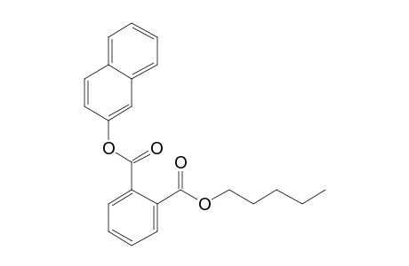 Phthalic acid, 2-naphthyl pentyl ester