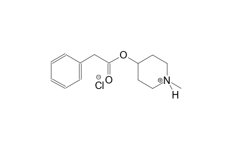 1-methyl-4-[(phenylacetyl)oxy]piperidinium chloride