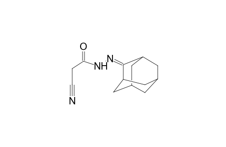 Propionitrile, 3-[(2-adamantylidene)hydrazine]-3-oxo-