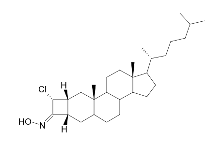 4'-.alpha.-Chloro-3'-hydroxyimino(4'H)-2-.beta.,3.beta.-dihydrocyclobuta[2,3]-cholestane