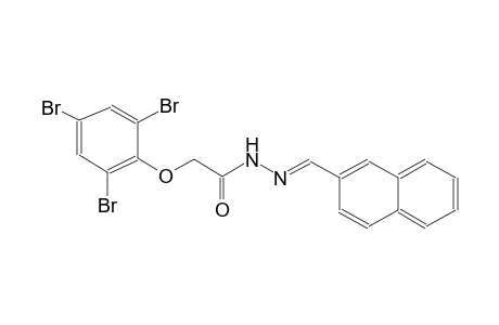 acetic acid, (2,4,6-tribromophenoxy)-, 2-[(E)-2-naphthalenylmethylidene]hydrazide