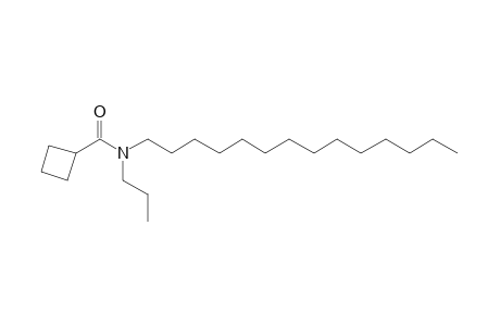 Cyclobutanecarboxamide, N-propyl-N-tetradecyl-