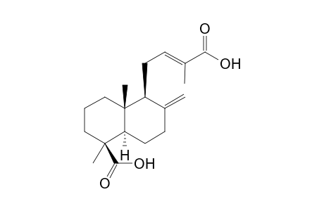 15-nor-Labda-8(17),12E-dien-14,19-dioic acid