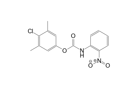 4-chloro-3,5-dimethylphenyl 2-nitrophenylcarbamate