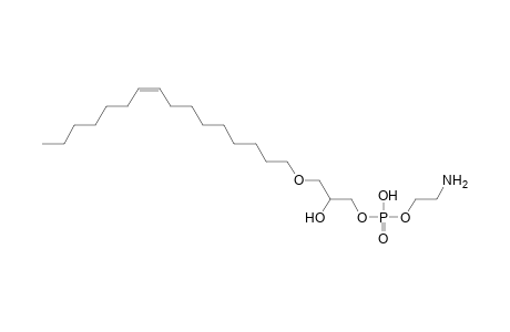 LPE O-16:1