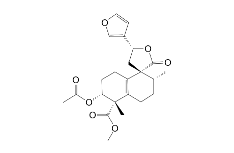 CRASSIFOLIN_F