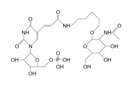5-(4-Aza-3-oxo-10-<2-acetamido-2-deoxy-1-D-glucopyranosyl>-dec-1-enyl)-uridine-5'-phosphate