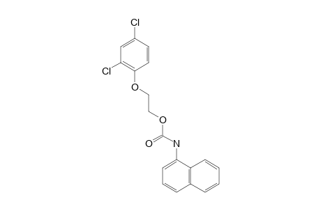 1-NAPHTHALENECARBAMIC ACID, 2-(2,4-DICHLOROPHENOXY)ETHYL ESTER