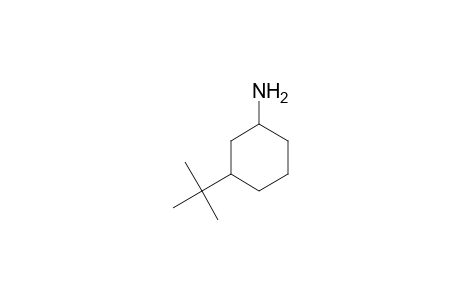 3-tert-Butylcyclohexylamine