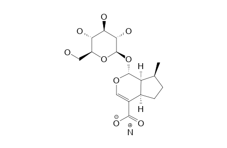 1,5,9-EPIDEOXYLOGANIC-ACID-POTASIUM-SALT