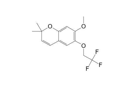 7-METHOXY-2,2-DIMETHYL-6-(2,2,2-TRIFLUOROETHOXY)-2H-CHROMENE