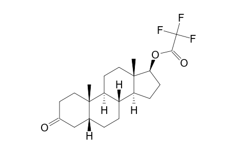 5.beta.-Androstan-3-one, 17.beta.-hydroxy-, trifluoroacetate
