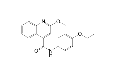 4-quinolinecarboxamide, N-(4-ethoxyphenyl)-2-methoxy-