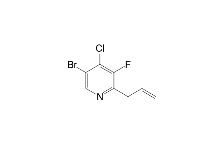 2-allyl-5-bromo-4-chloro-3-fluoropyridine