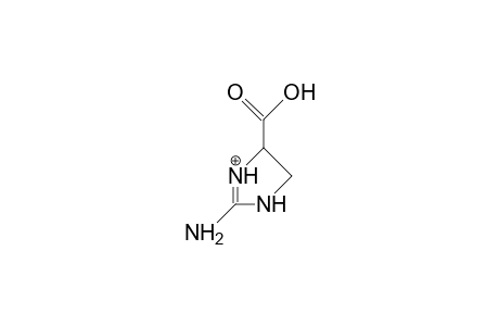2-Amino-imidazolidine-4-carboxylic acid, cation