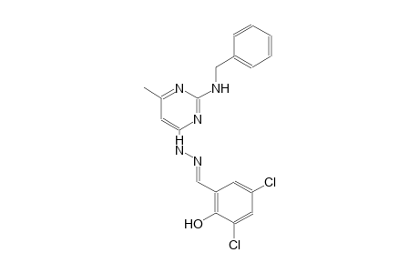 3,5-dichloro-2-hydroxybenzaldehyde [2-(benzylamino)-6-methyl-4-pyrimidinyl]hydrazone