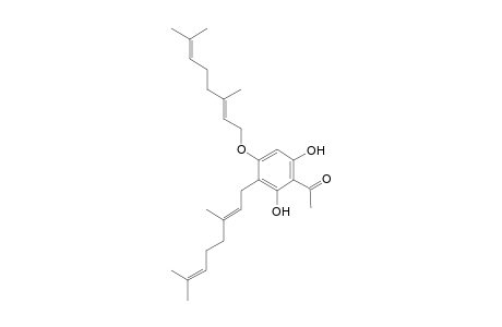 1-[4-[(2E)-3,7-dimethylocta-2,6-dienoxy]-3-[(2E)-3,7-dimethylocta-2,6-dienyl]-2,6-bis(oxidanyl)phenyl]ethanone