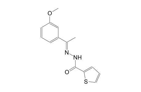 N'-[(E)-1-(3-methoxyphenyl)ethylidene]-2-thiophenecarbohydrazide