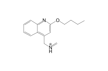 Cinchocaine-M (nor-) MS3_2