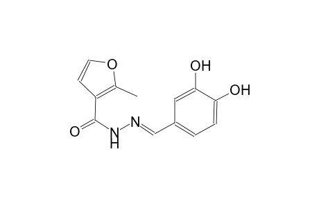 N'-[(E)-(3,4-dihydroxyphenyl)methylidene]-2-methyl-3-furohydrazide