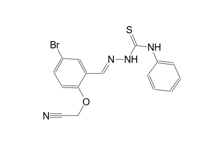 (2-{(E)-[(anilinocarbothioyl)hydrazono]methyl}-4-bromophenoxy)acetonitrile